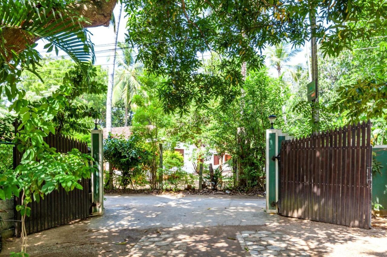 Julia Safari Inn Tissamaharama Luaran gambar